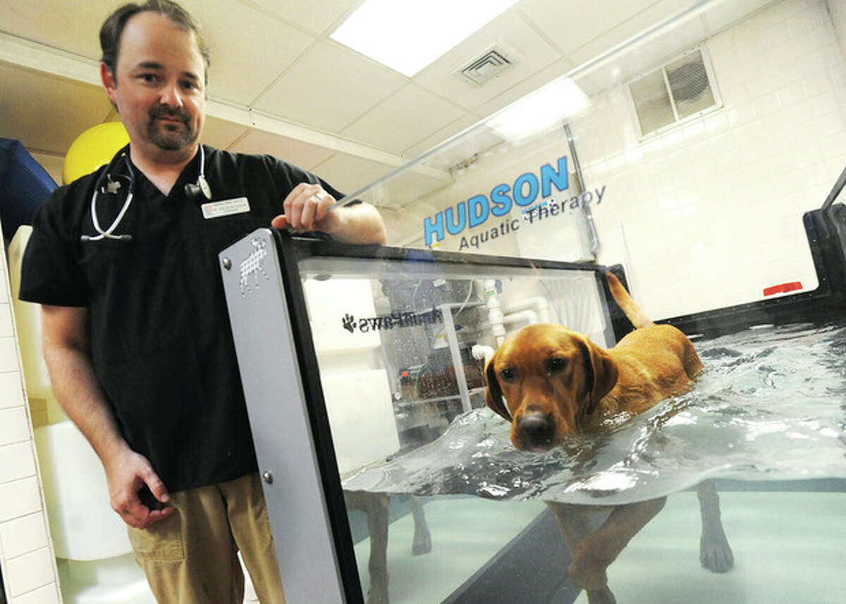 Dog Underwater Treadmill Therapy