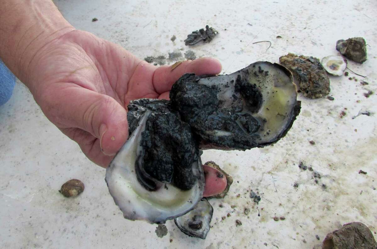 Galveston County official declares oyster disaster