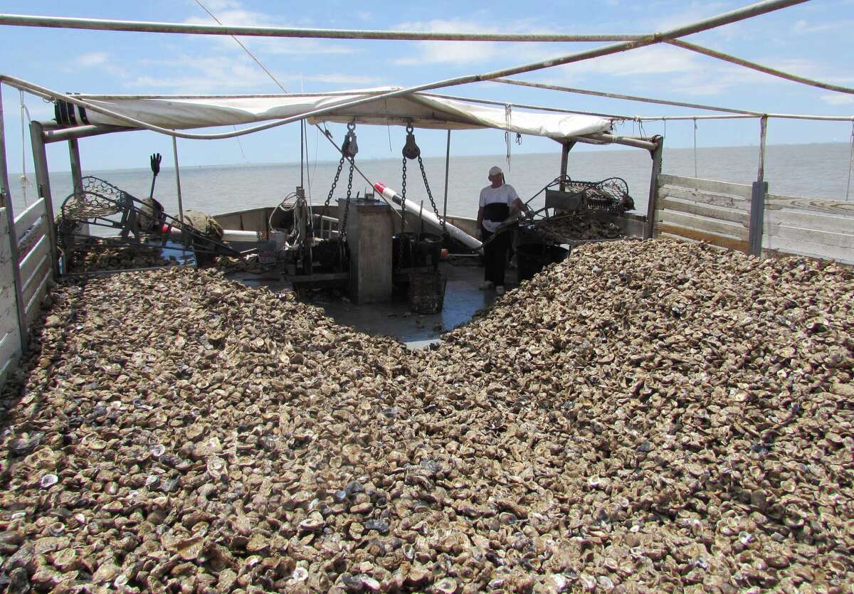 Galveston County official declares oyster disaster