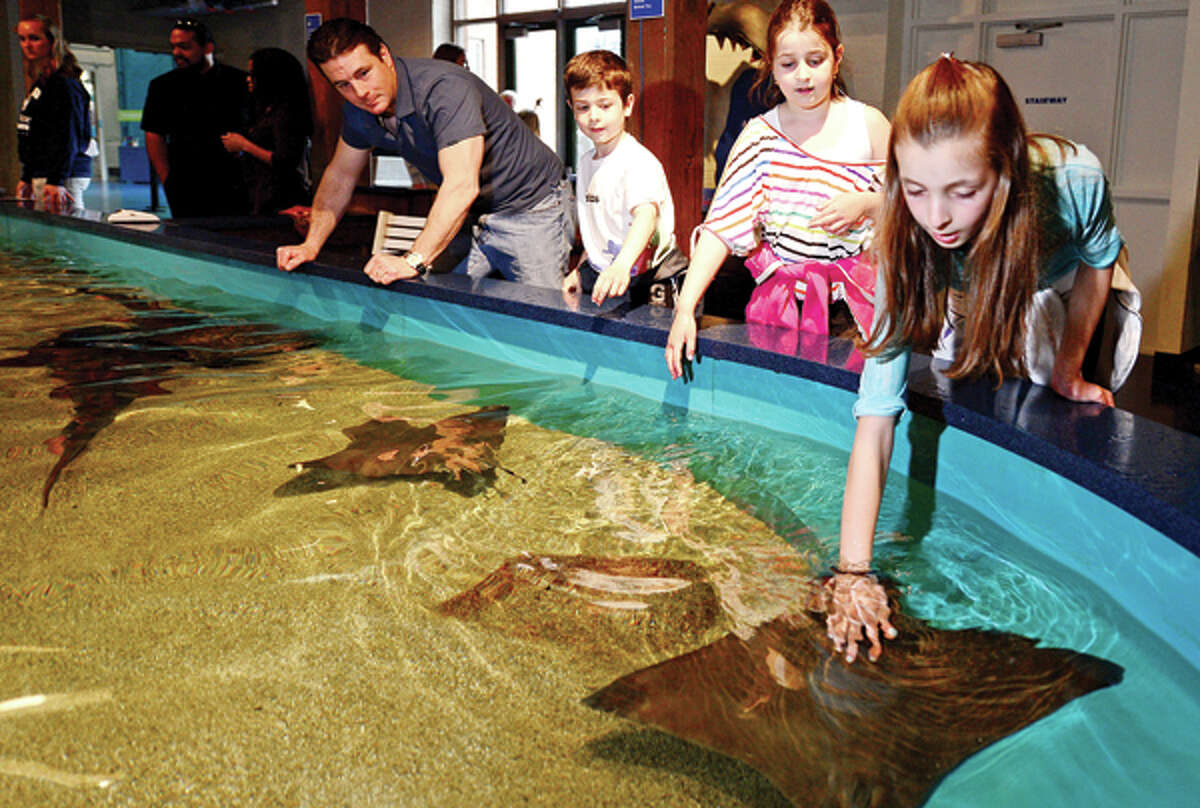 The Maritime Aquarium seeks volunteers