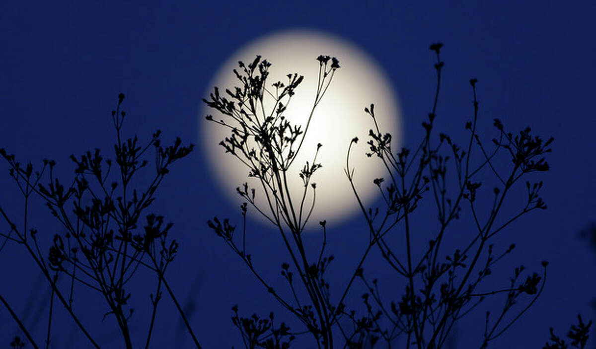 A "supermoon" rises behind roadside plants growing in Prattville, Ala., Saturday, June 22, 2013. The biggest and brightest full moon of the year graces the sky early Sunday as our celestial neighbor swings closer to Earth than usual. While the moon will appear 14 percent larger than normal, sky watchers won't be able to notice the difference with the naked eye. Still, astronomers say it's worth looking up and appreciating the cosmos. (AP Photo/Dave Martin)