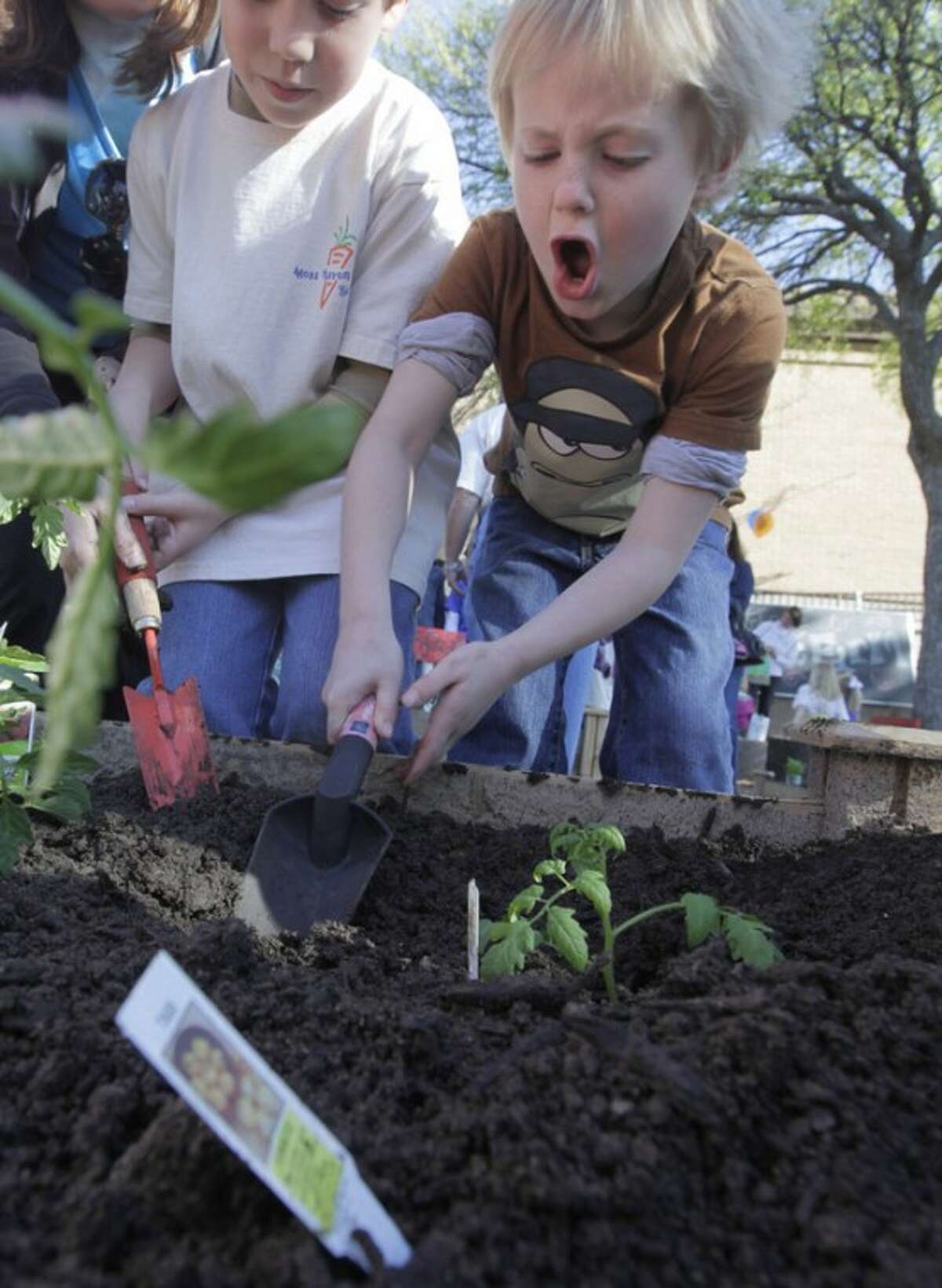 In this photo taken on March 27, 2012, elementary students plant vegetables in a garden at Moss Haven Elementary school in Dallas, T.X. Gardens planted in schoolyards nationally are intended to encourage healthier eating, and also teach young students about the environment, science, teamwork, math and leadership. (AP Photo/LM Otero)