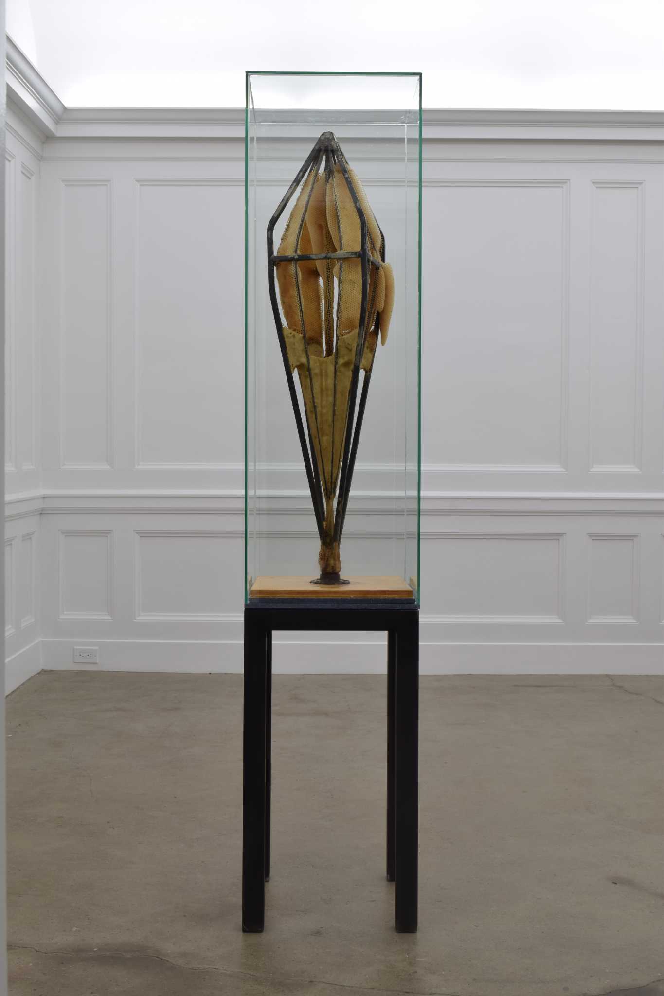 Kinderhook's The School offers shows by four artists