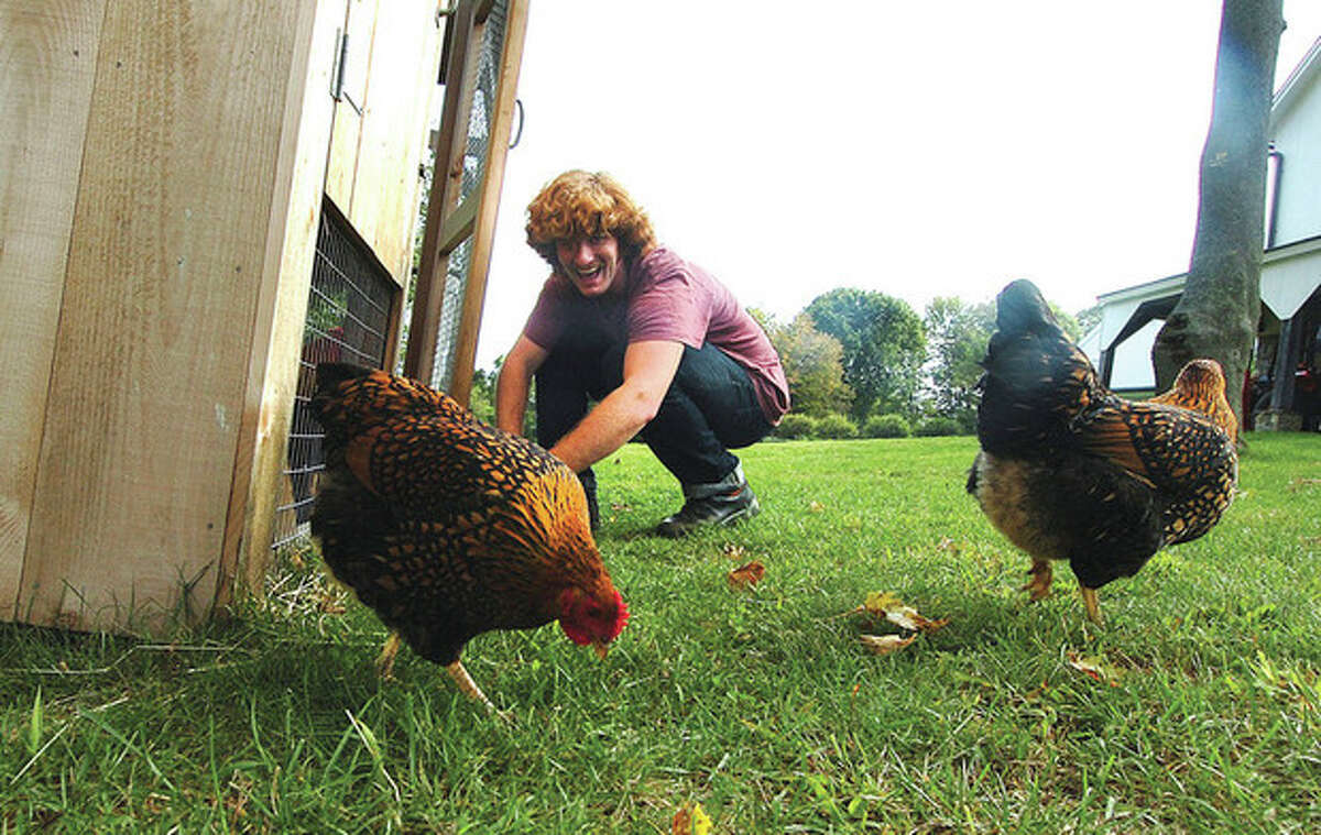 Photo by Alex von Kleydorff Matt Campbell, a member of Vasudo, lets the chickens out of the chicken coop at his Wilton home.