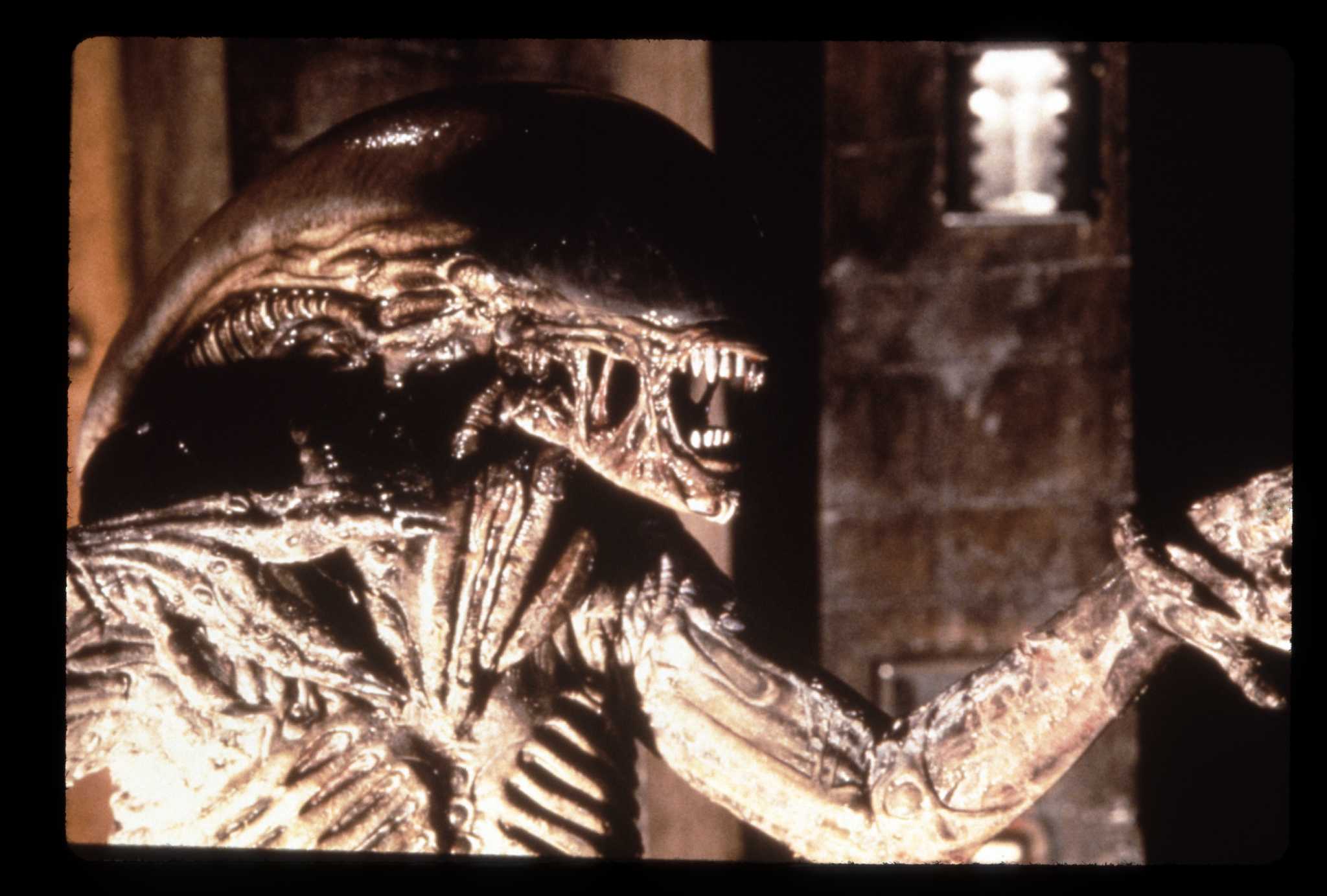 Celebrating the unsettling creature comforts of 'Aliens 