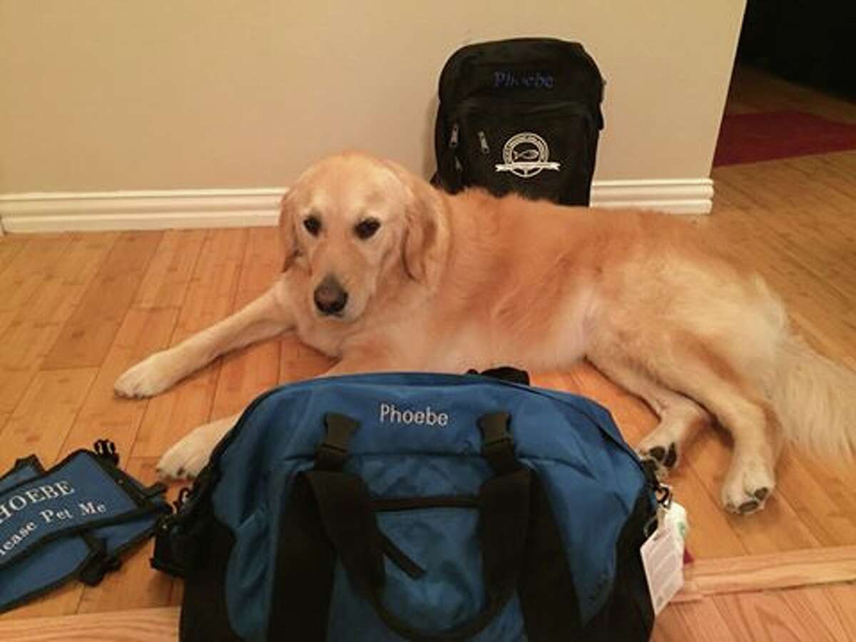 Phoebe was packed up and ready to go to Orlando on Tuesday morning.