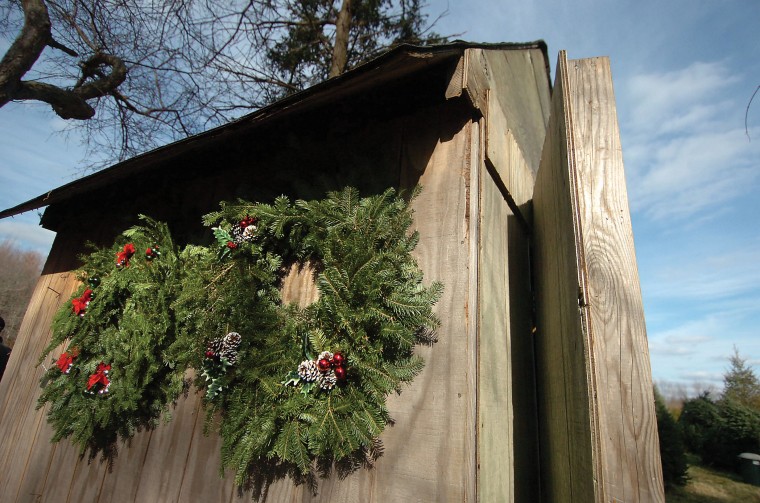 CT. Audubon Christmas Tree Farm