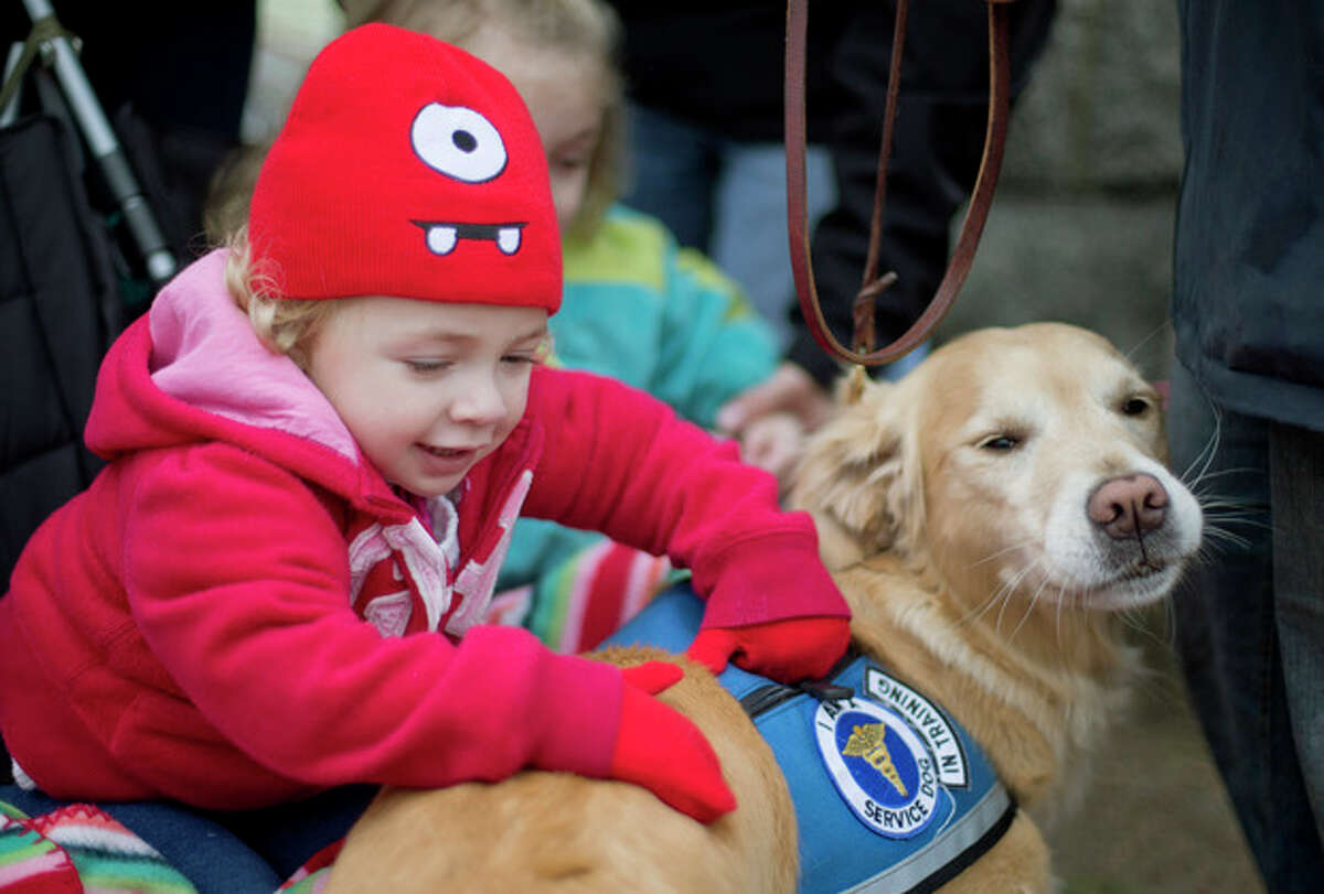 FILE - In this Tuesday, Dec. 18, 2012 file photo, Addison Strychalsky, 2, of Newtown, Conn., pets Libby, a golden retriever therapy dog, during a visit from the dogs and their handlers to a memorial for the Sandy Hook Elementary School shooting victims in Newtown. As the shock of Newtown's horrific school shooting starts to wear off, as the headlines fade and the therapists leave, residents are seeking a way forward through faith, community and a determination to seize their future. (AP Photo/David Goldman, File)
