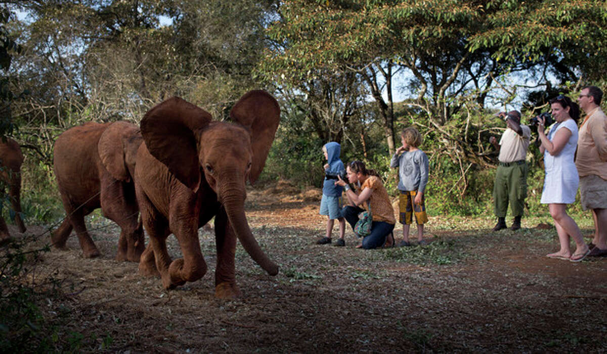 Foreign visitors take photographs as baby orphaned elephants return back for feeding time after spending the day in Nairobi National Park, at the David Sheldrick Wildlife Trust elephant orphanage in Nairobi, Kenya Monday, Sept. 30, 2013. The risk to the country's tourism was one of the first concerns expressed by officials during the initial days of the Westgate Mall siege, but tourists continue to fly to Kenya for safaris and beach vacations seemingly despite a number of foreigners being killed in last weeks attack. (AP Photo/Ben Curtis)