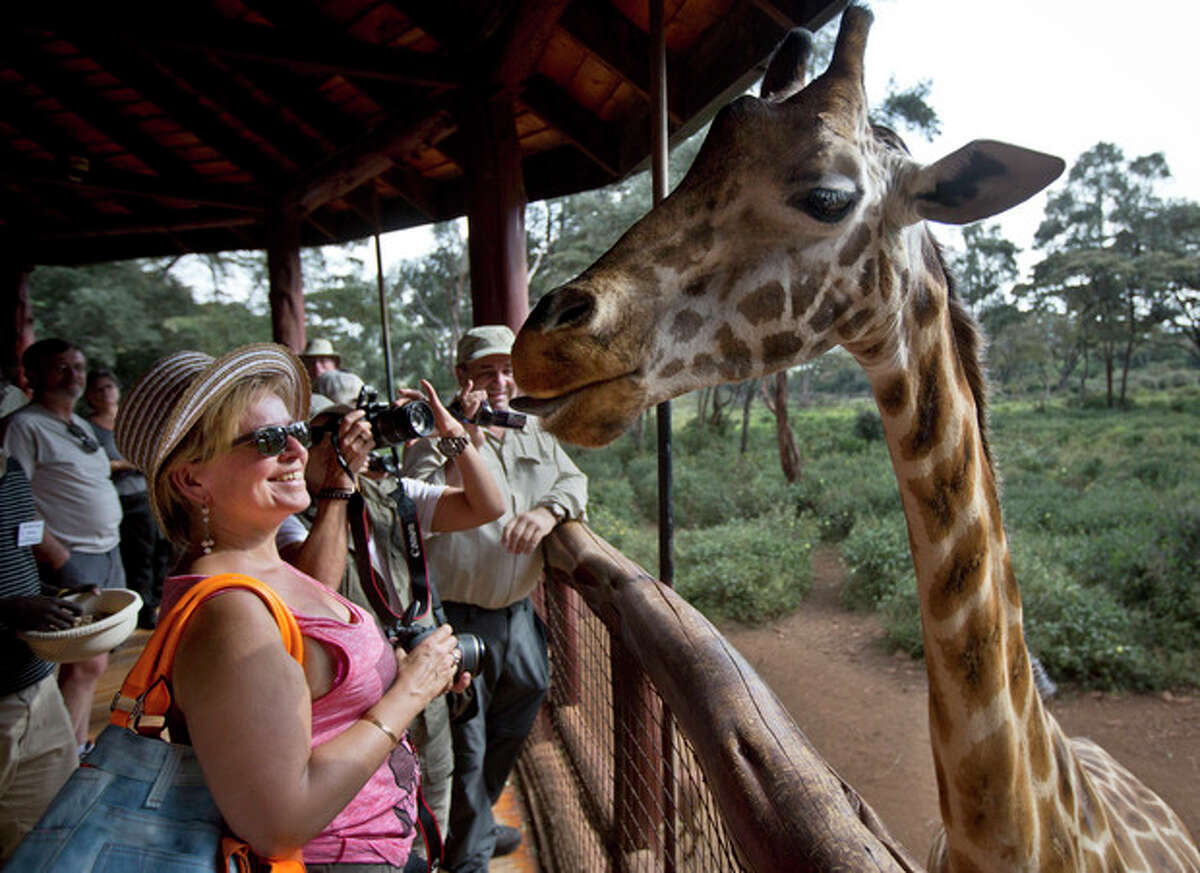 A foreign visitor from Belgium, left, smiles after feeding a giraffe from her hand while others take photographs at the Giraffe Centre, in the Karen neighborhood of Nairobi, Kenya Monday, Sept. 30, 2013. The risk to the country's tourism was one of the first concerns expressed by officials during the initial days of the Westgate Mall siege, but tourists continue to fly to Kenya for safaris and beach vacations despite a number of foreigners being killed in last weeks attack. (AP Photo/Ben Curtis)