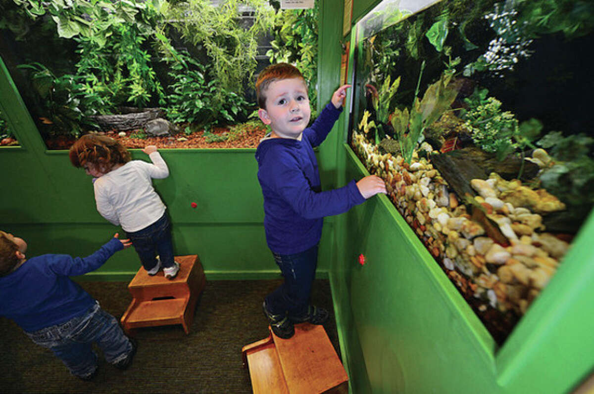 Hour photo / Erik Trautmann 3-year-old Giancarlo Mastrogiacomo looks at the frog exhibit at The Maritime Aquarium Tuesday. The aquarium is looking to renew its lease with the city.