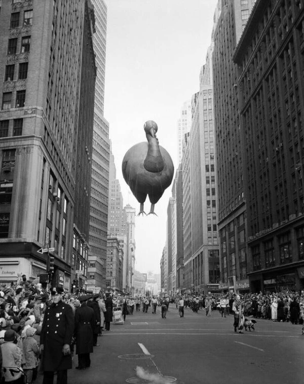 1957 - A giant turkey float squeezes between buildings as the 31st annual Macy's Thanksgiving Day Parade moves down Broadway near 37th Street in New York, Nov. 28, 1957. The parade's first giant balloons debuted in 1927. (AP Photo/John Lindsay, File)