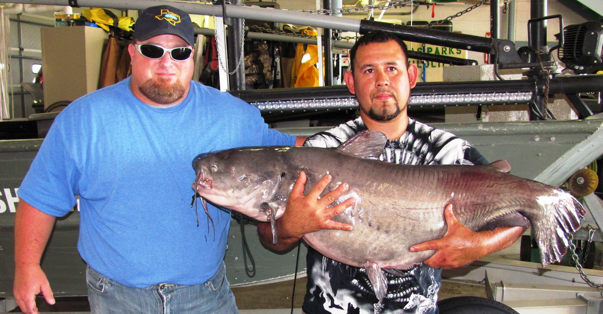 New Braunfels man catches huge, recordbreaking catfish, but it's not