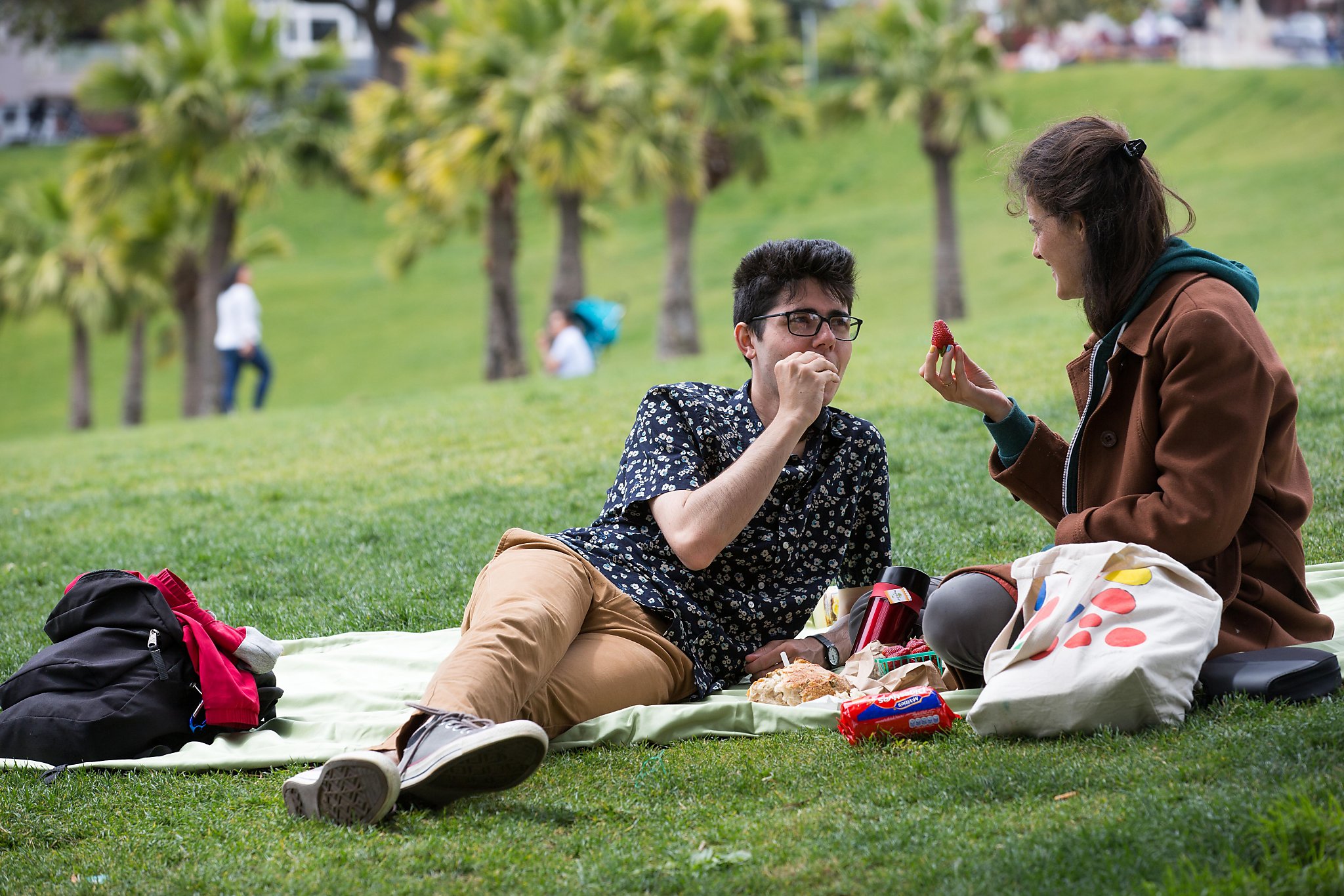 The best places to picnic in San Francisco SFGate