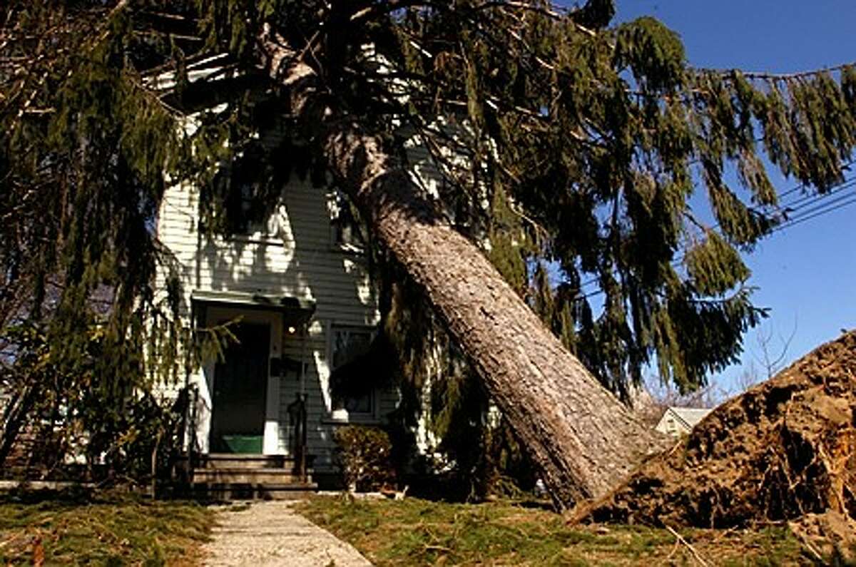 A pine tree fell on a house on Kellogg Rd. Hour photo / Erik Trautmann