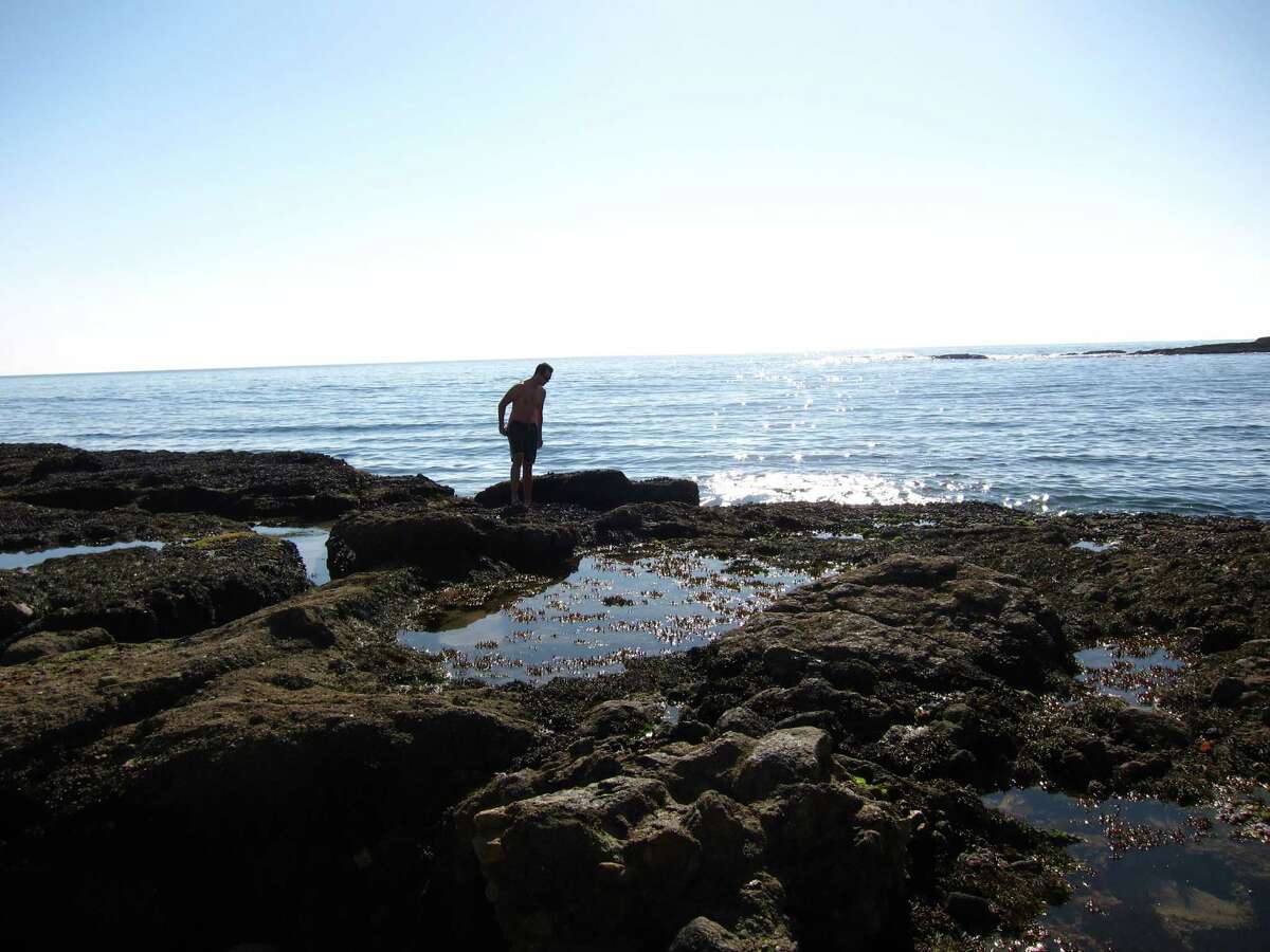 Endless summer: Laguna Beach's enchanting views span art to starfish to ...