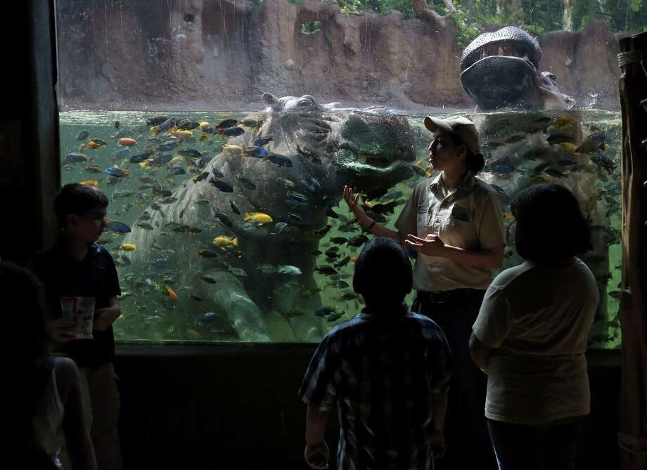 San Antonio Zoo improving animal habitats, plans for a multimillion