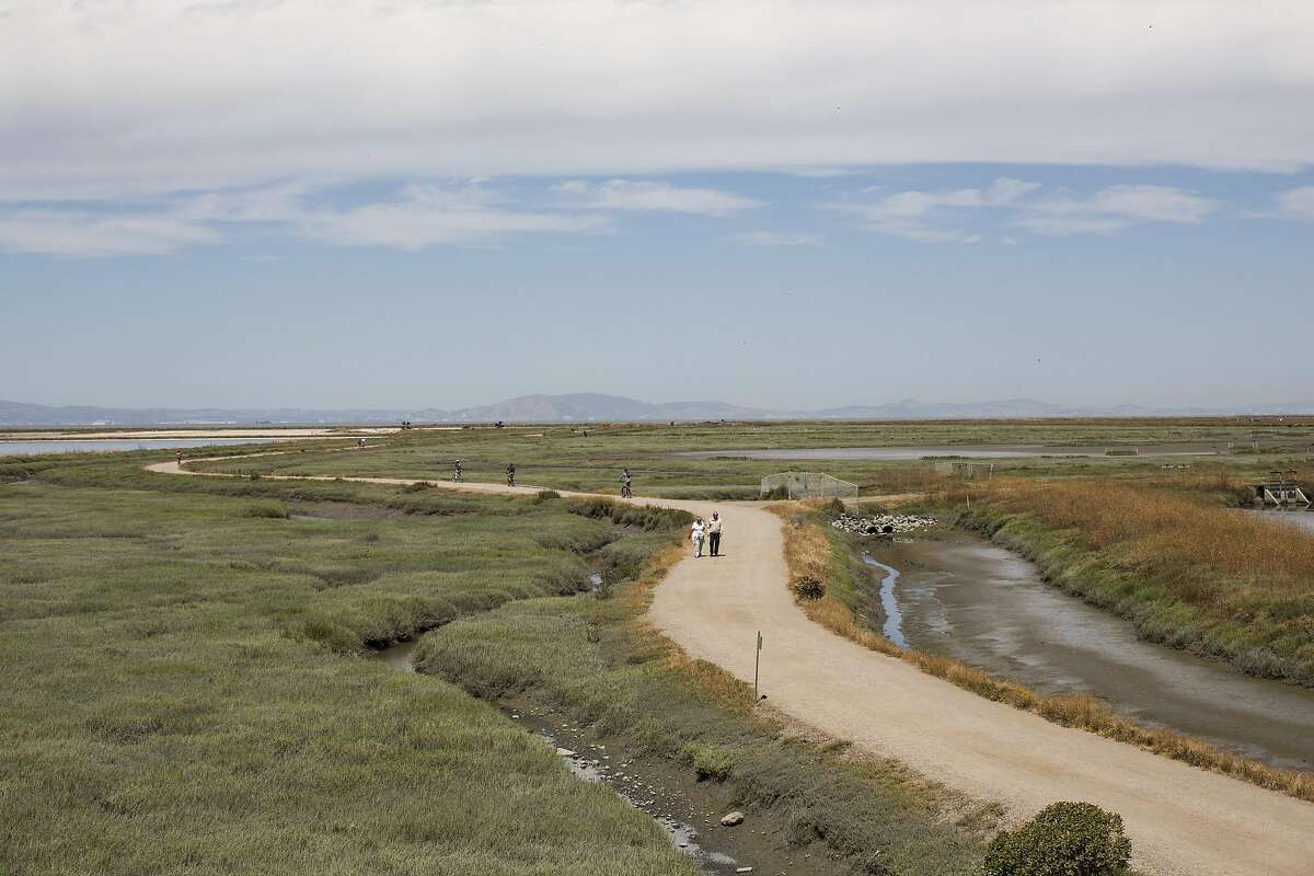 Connect With Nature, Play At Hayward Parks