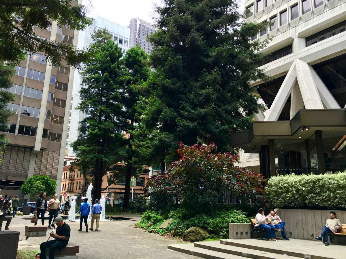 The Transamerica Redwood Park is a green oasis of tranquility in the Financial District, and there’s a strangely beautiful contrast in looking up at one of the redwood trees and finding the Transamerica Pyramid peeking through. It's one of many POPOS located throughout the city