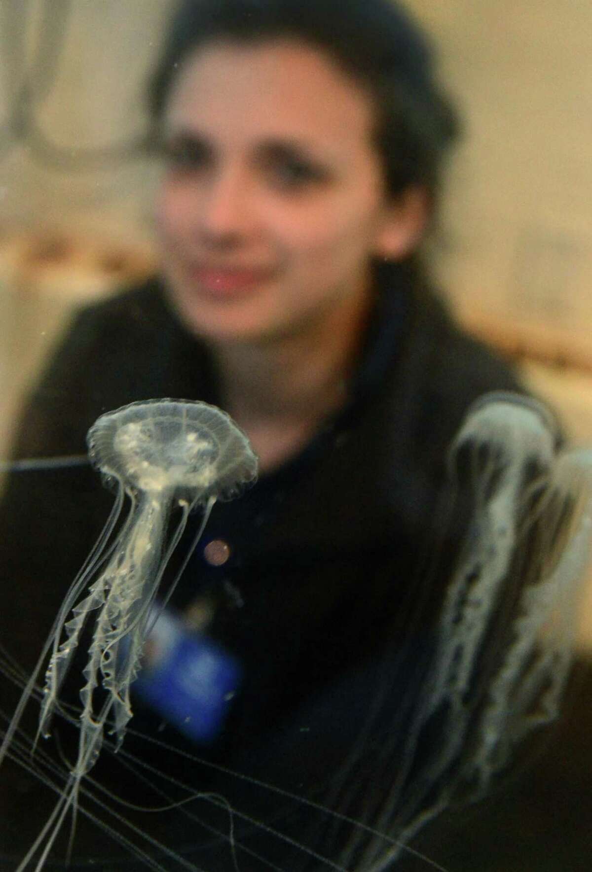 Meet the Maritime Aquarium’s “Jellyfish Mom”