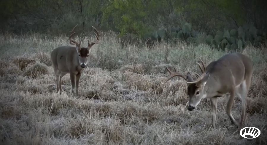 Chipper Jones Leads the Hunt at his Family's South Texas Ranch - Men's  Journal