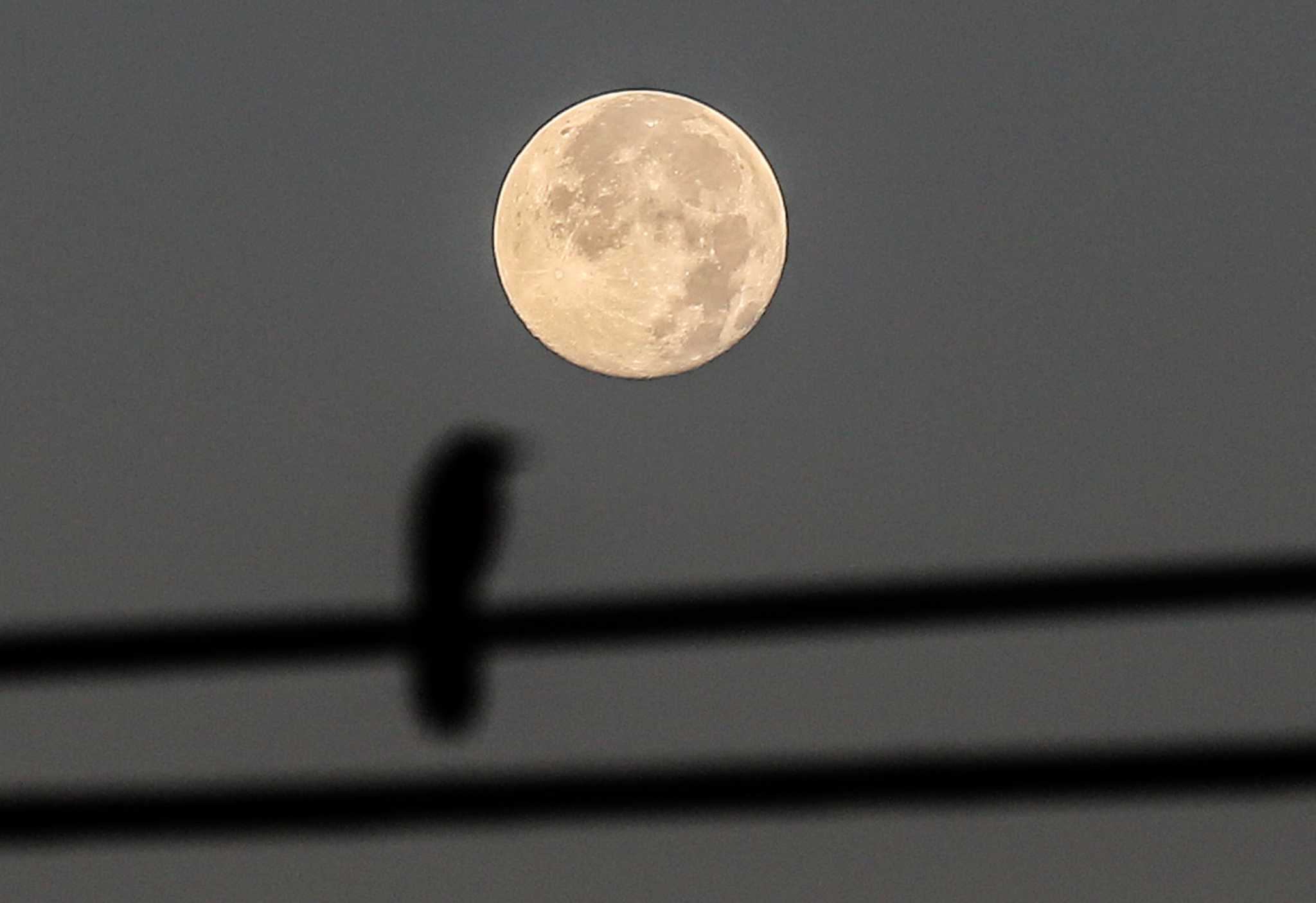 A full strawberry supermoon rises on Thursday