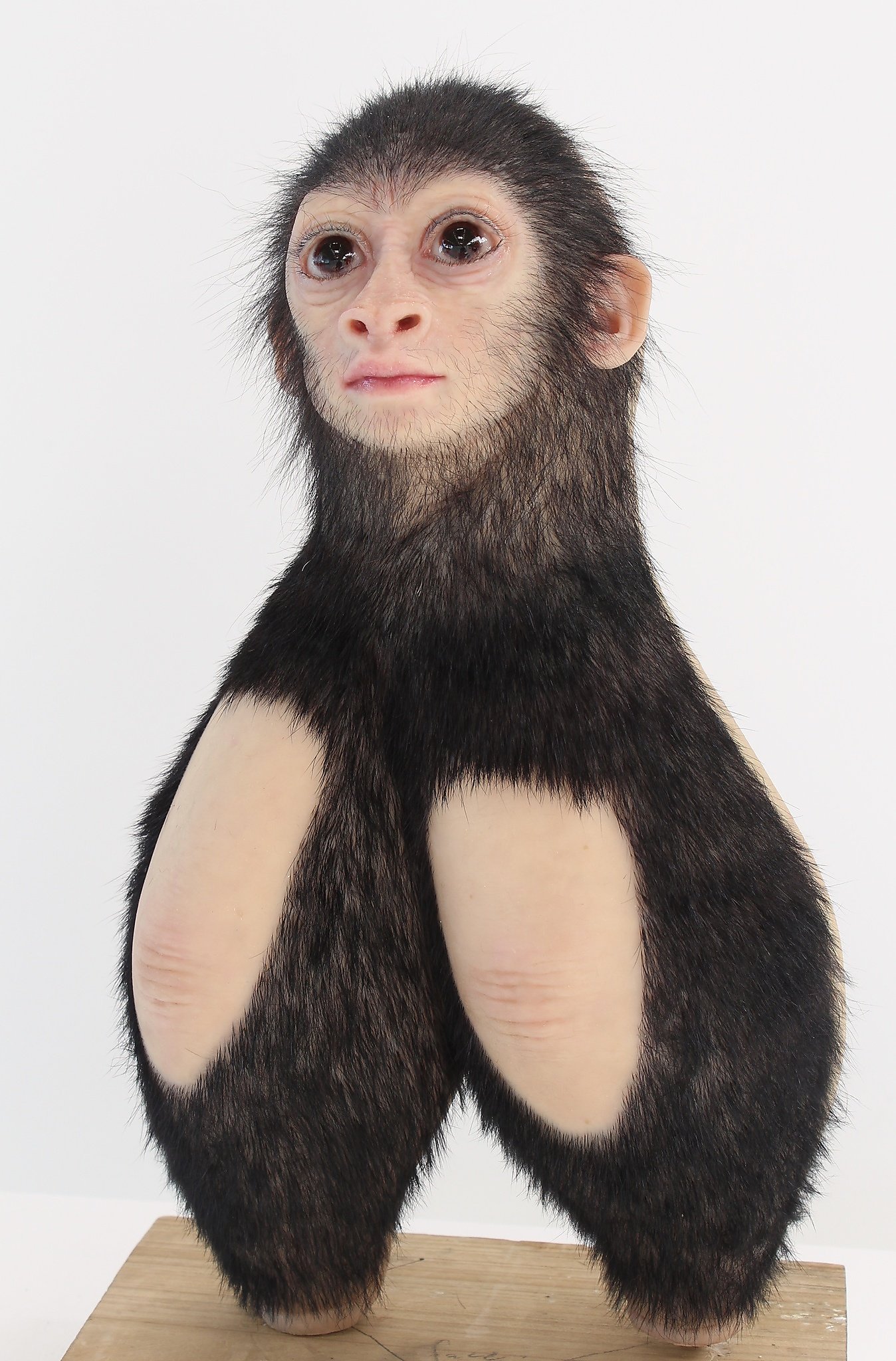 Exhibit Offers Peek Into Patricia Piccinini S World