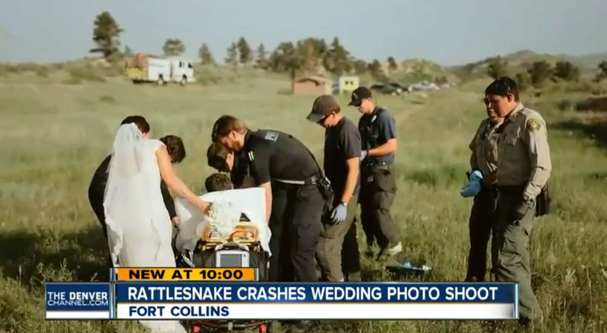 Johnny and Laura Benson were taking their wedding photos at Horestooth Reservoir in Colorado when a snake bit the groom, landing him in the hospital on June 20, 2016. 
