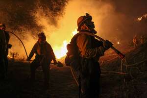 马林县费尔法克斯附近的野火燃烧着灌木丛