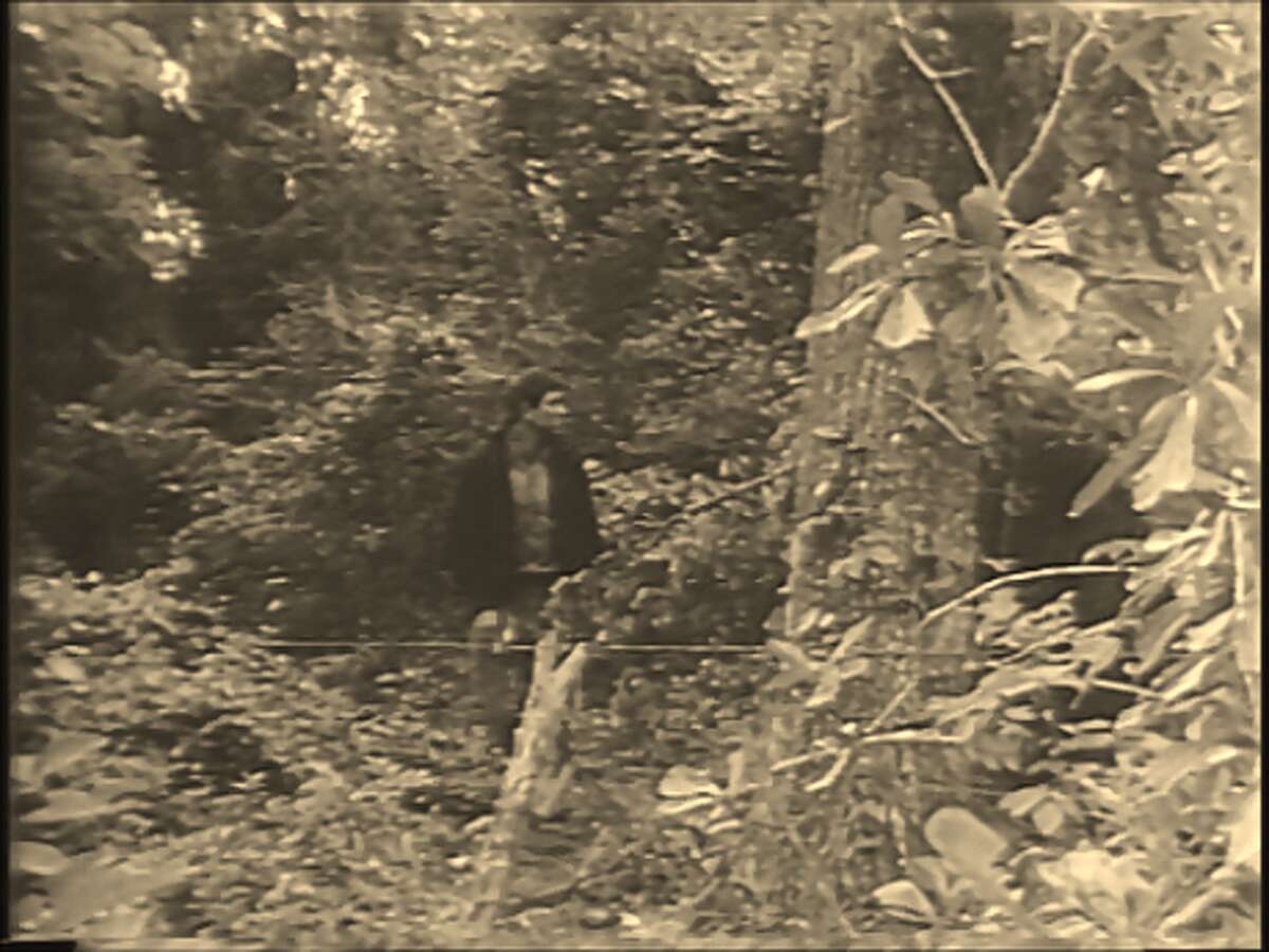 WWII veteran dubbed 'Texas Shipyard Tarzan' lived in a tree house in