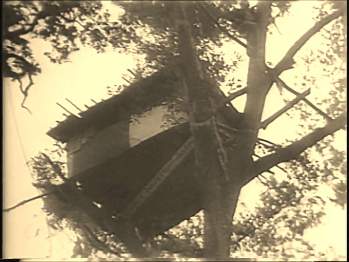 WWII veteran dubbed 'Texas Shipyard Tarzan' lived in a tree house in