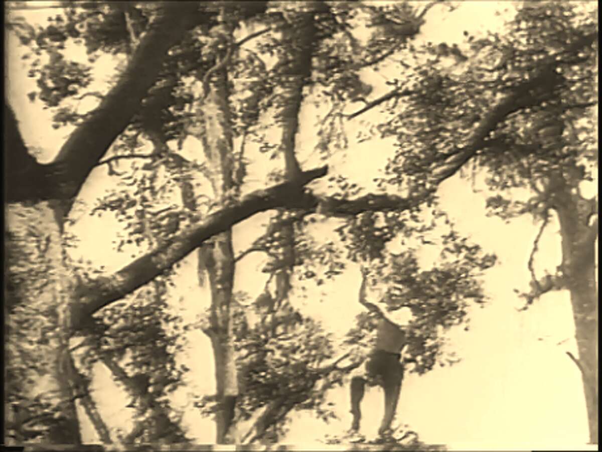 WWII veteran dubbed 'Texas Shipyard Tarzan' lived in a tree house in