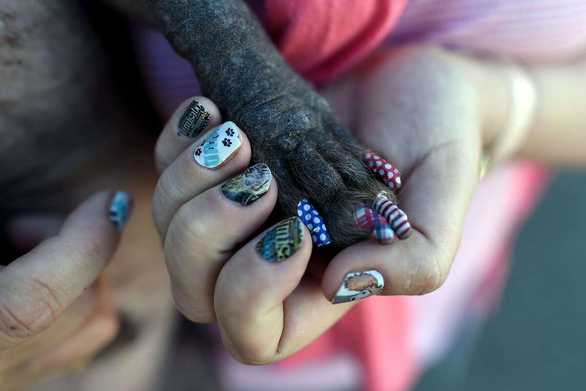 Himisaboo, a mutt with a Donald Trump inspired hairdo and painted nails to match his owner's, is seen during the World's Ugliest Dog Competition in Petaluma, California on June 24, 2016. 