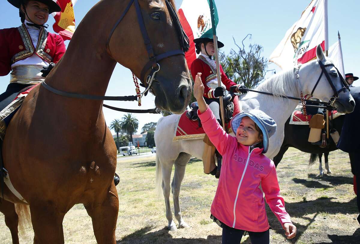 Eflin Demirbas, 8, reaches out to meet a new equine friend at the Presidio in San Francisco, Calif. on Saturday, June 25, 2016. To mark its centennial celebration, the National Park Service is partnering with the San Francisco Public Library to provide free shuttles and programs for the general public to various parks throughout the Bay Area.