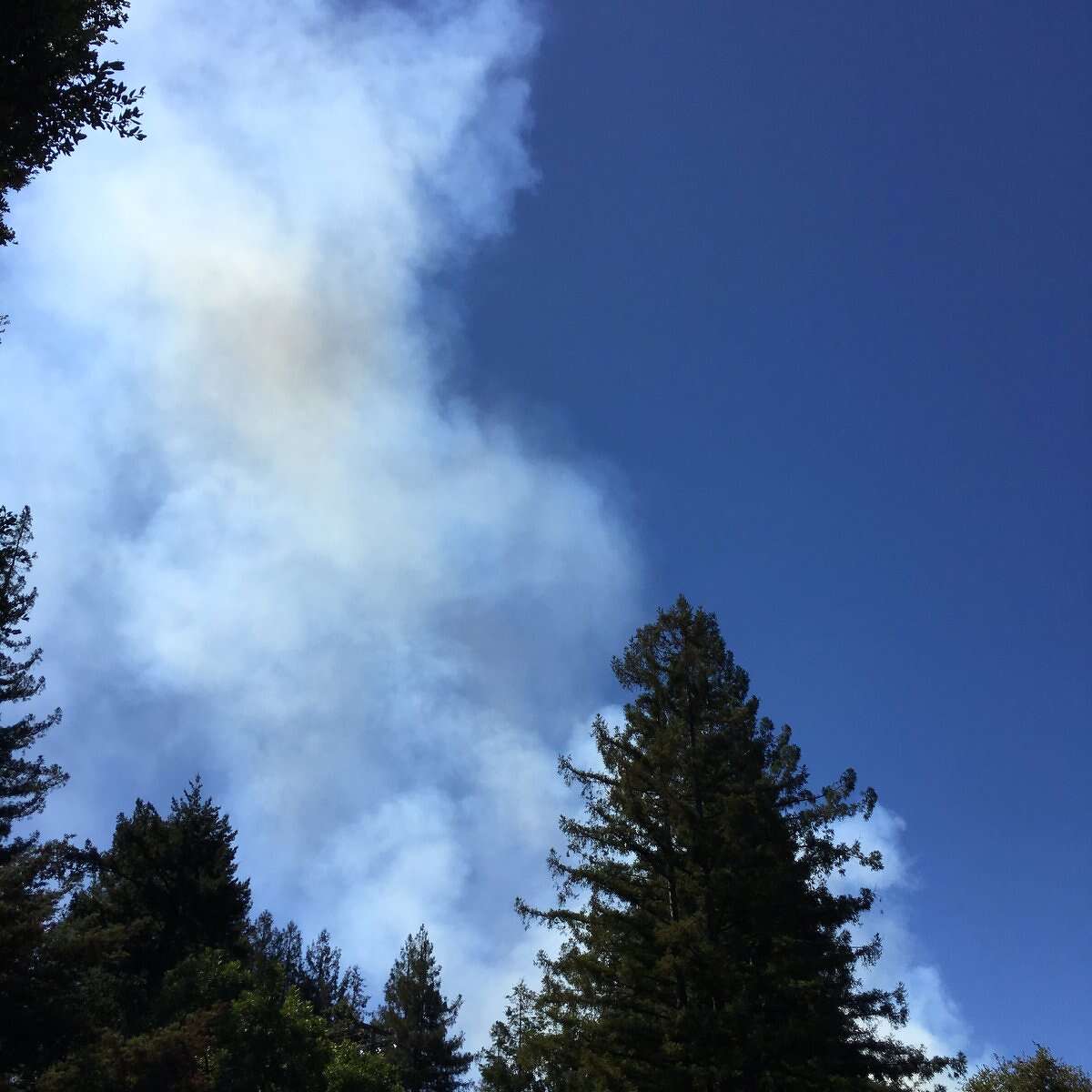 Update Hwy 17 remains closed as hundreds of firefighters respond to