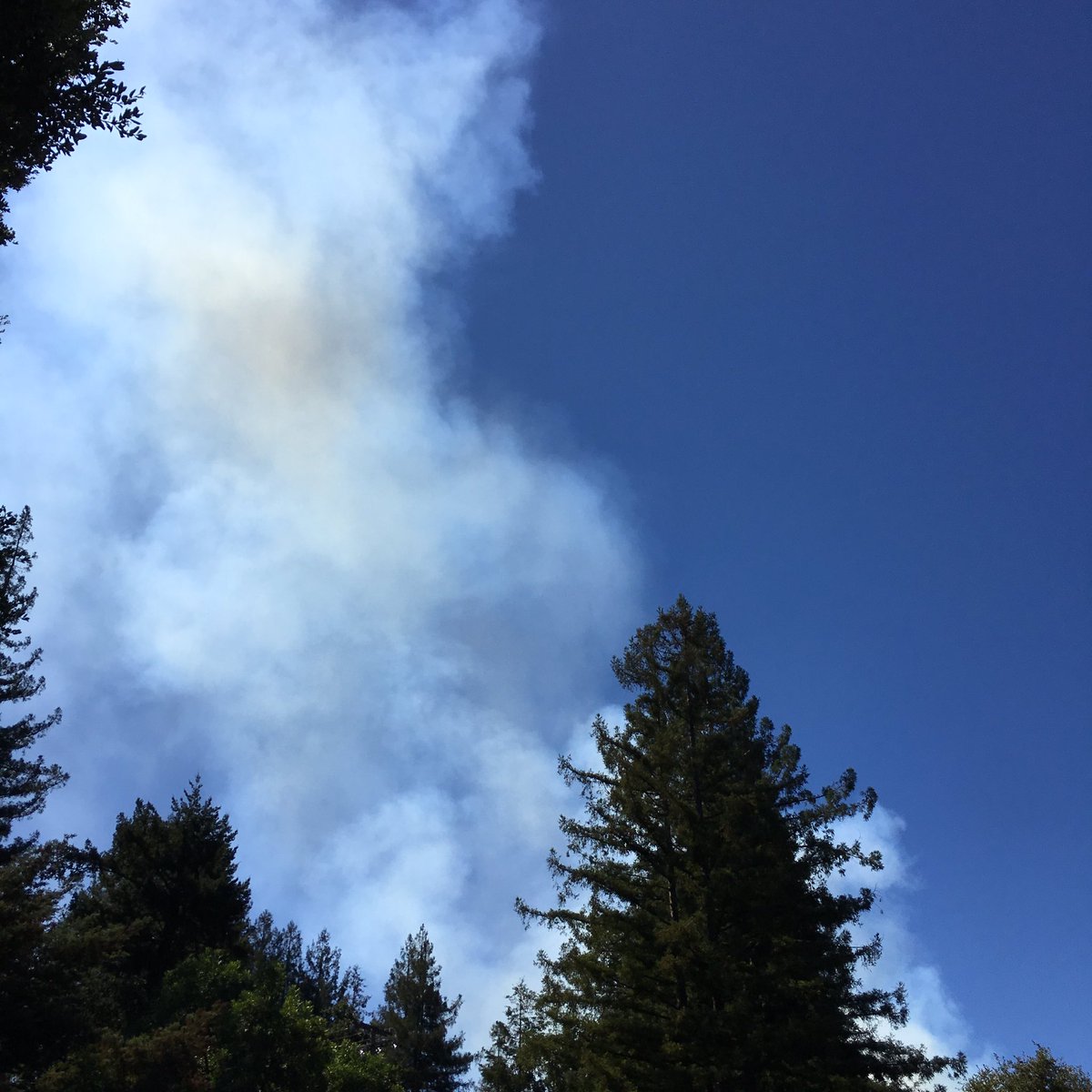 Update: Hwy 17 Remains Closed As Hundreds Of Firefighters Respond To ...