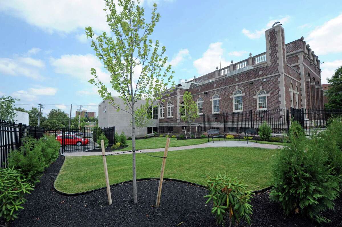 Albany library opens book on new park