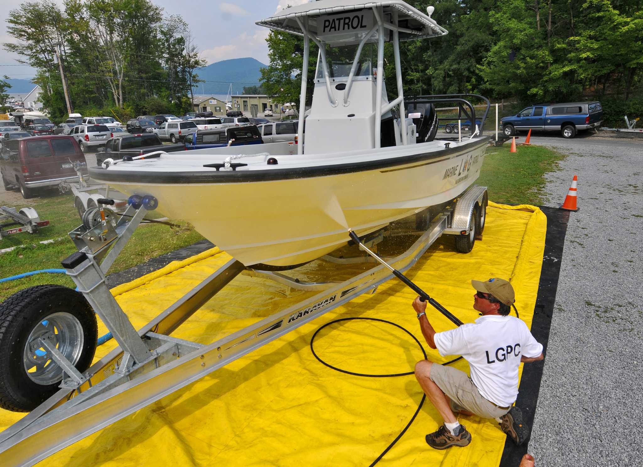 Photos Invasive Species That Threaten Upstate New York Natives