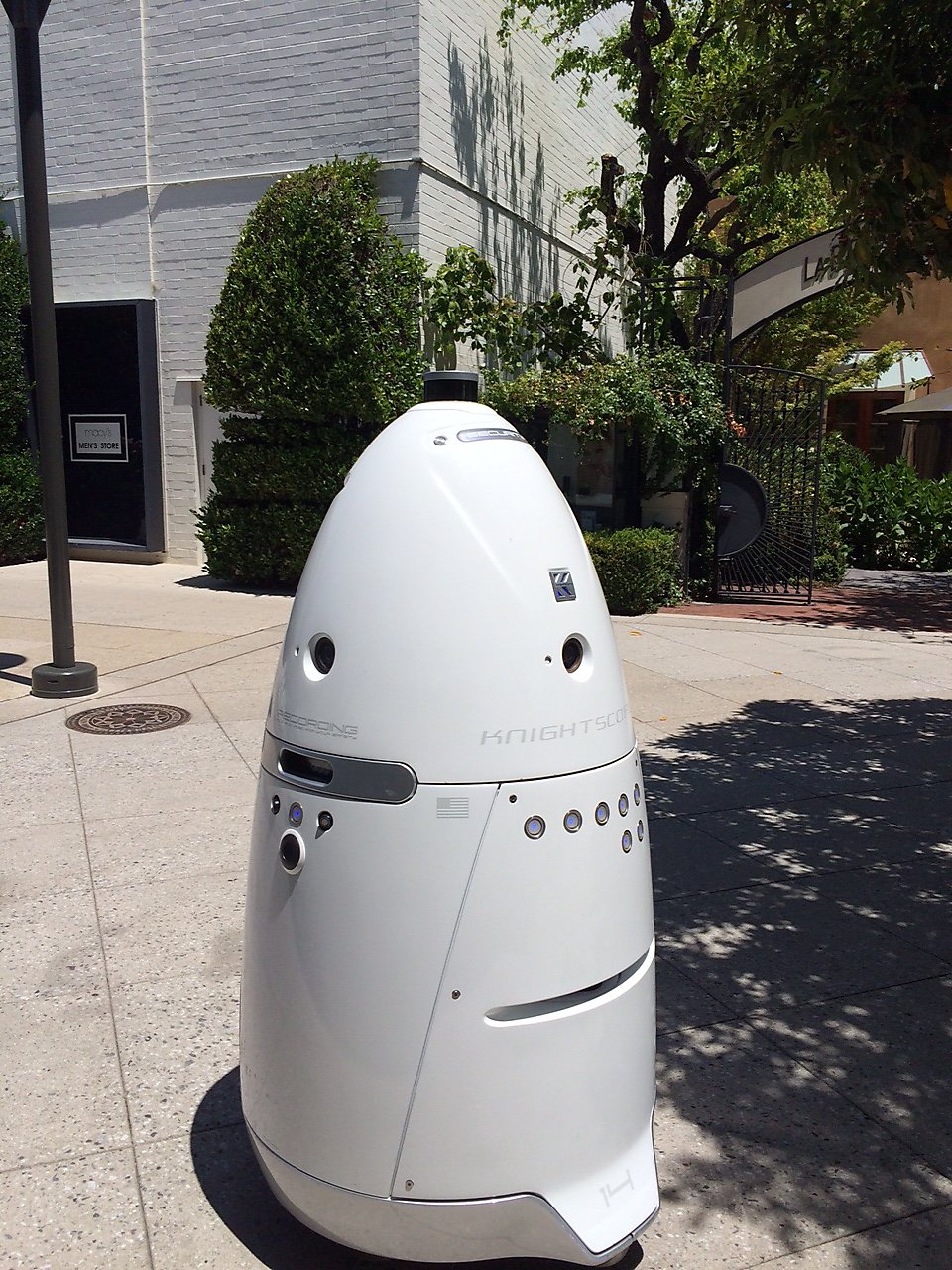 The robots are already here, and they’re shopping.