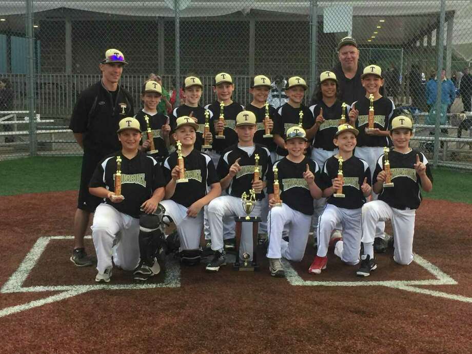 Championship Gallery Trumbull 11u Travel Baseball - 