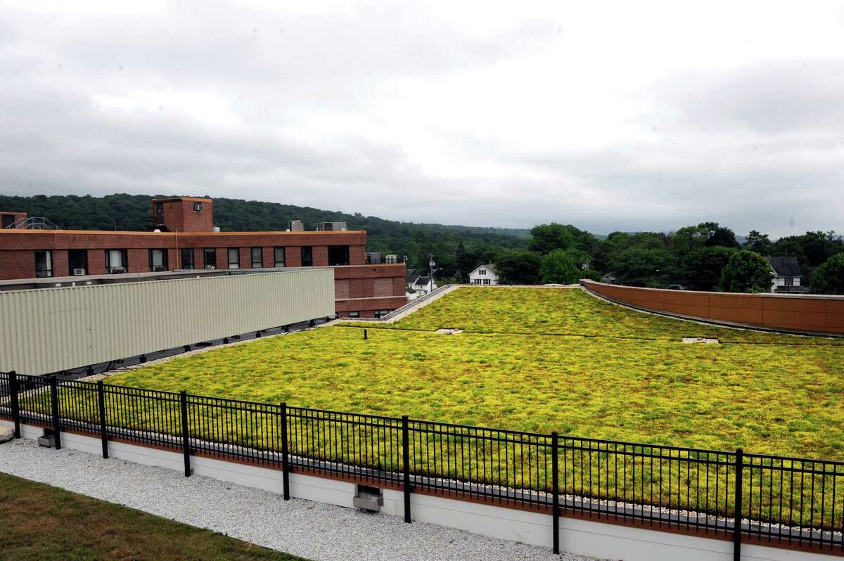 The sedums ?– tens of thousands of them ?— carpeting the roof of the Arnhold Emergency Department at New Milford Hospital are in bright yellow blossom. Come September, they?’ll be rusty red. Installed last fall, the 6,000 square-foot roof is one of the largest ?“green?” roofs in western Connecticut. Photo Wednesday, June 28, 2016.