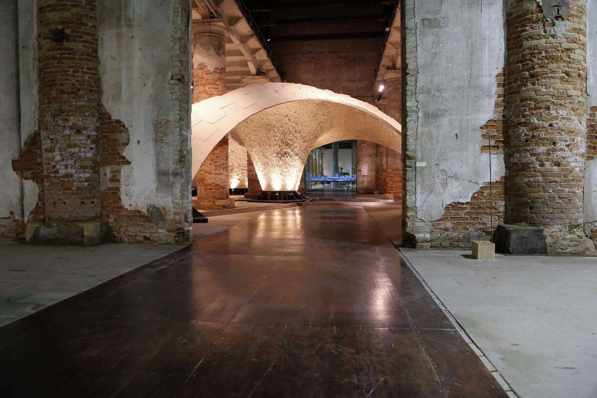 This armadillo is an engineering marvel