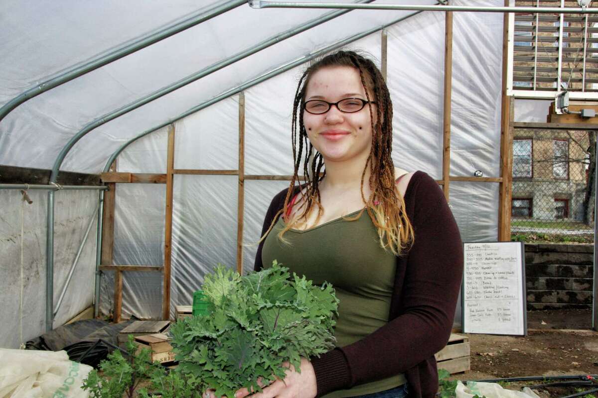 A participants harvests plants at Capital Roots' Produce Project greenhouses in 2016. (Provided photo)