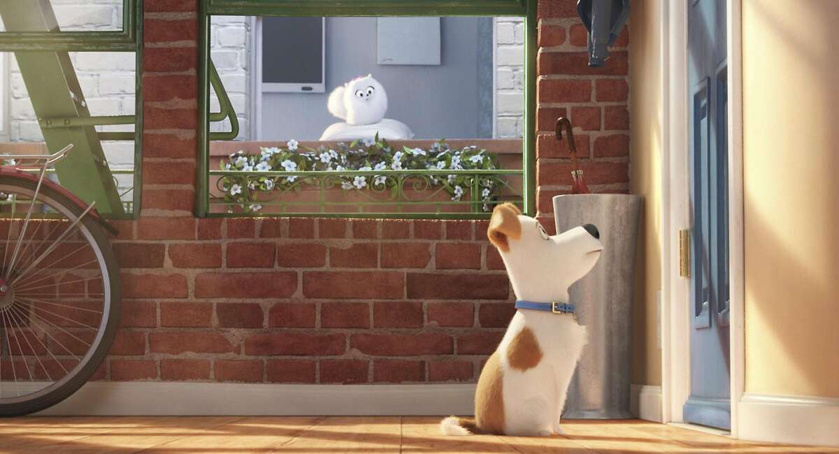 A scene from "The Secret Life of Pets." (Illumination Entertainment/Universal Pictures)