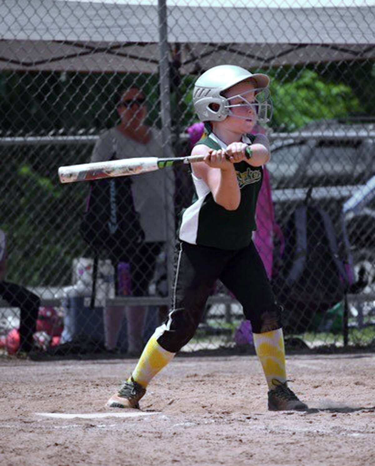 New Milford's youth softball teams sweep states