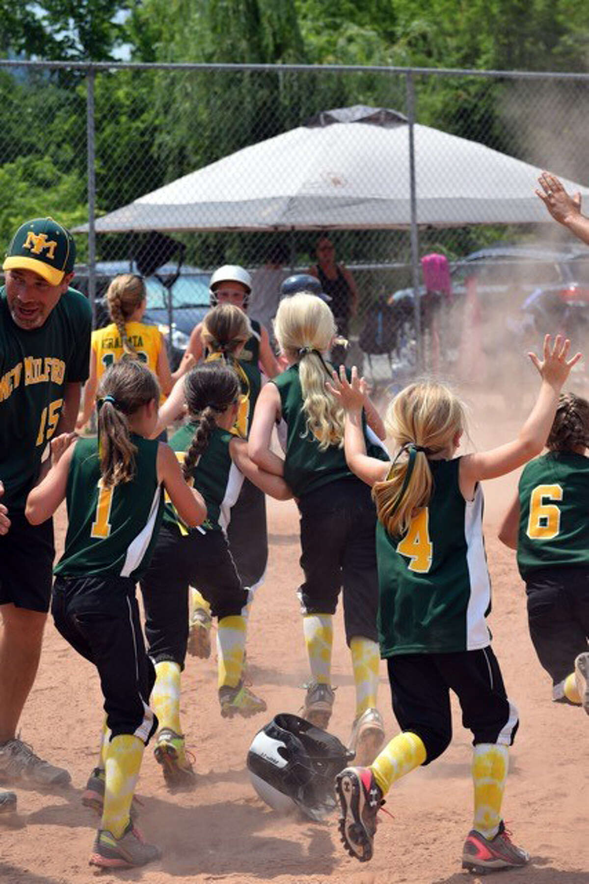 New Milford's youth softball teams sweep states