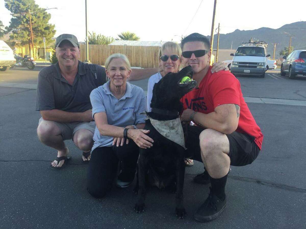 Molli Oliver, a 65-year-old United Airlines flight attendant from Los Angeles, has spent the past year reuniting retired military work dogs with former deployment partners and trainers. 