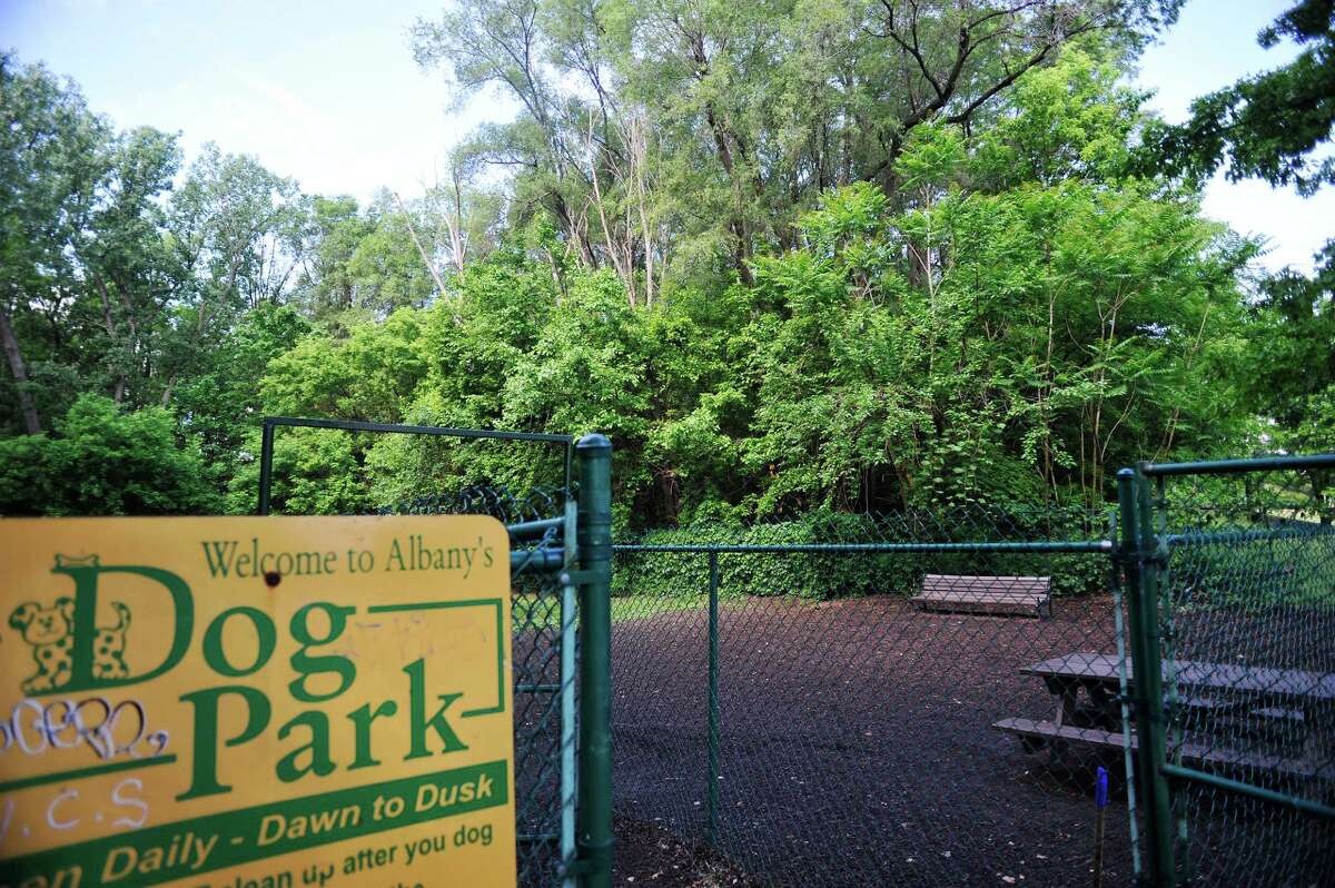 A view of a wooded section behind the fenced dog area inside Westland Hills park on Tuesday, June 7, 2016, in Albany, N.Y. There is lead contamination below the surface in the wooded area. (Paul Buckowski / Times Union)