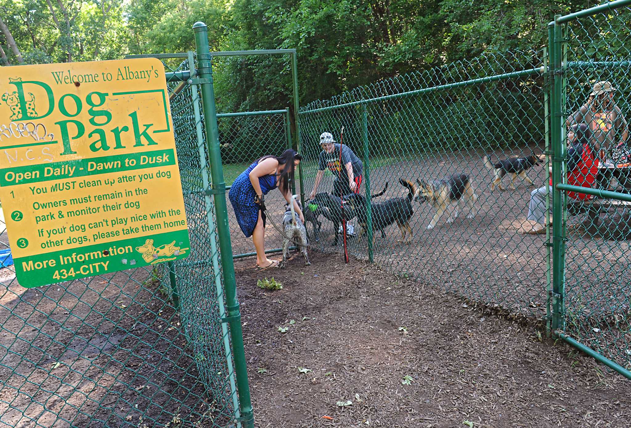 Dog parks and nature spots around the Capital Region to visit this