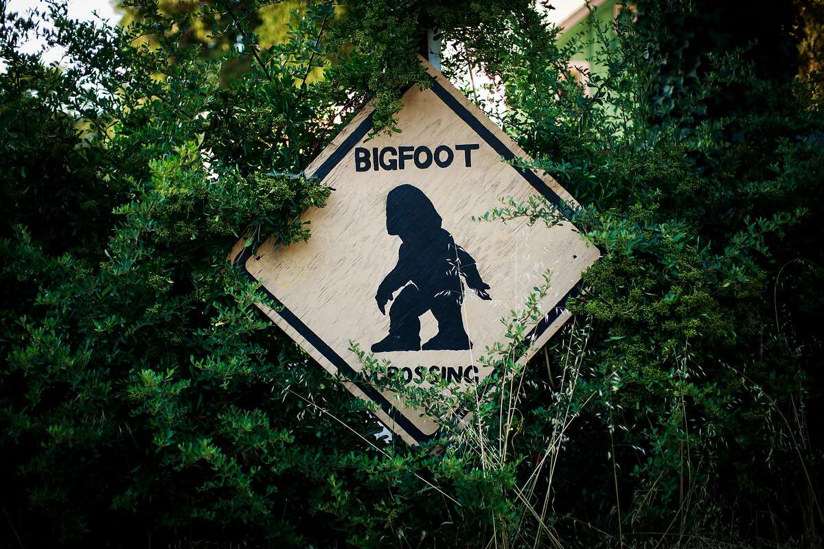A bigfoot crossing sign in Willow Creek, California, June 30, 2016.